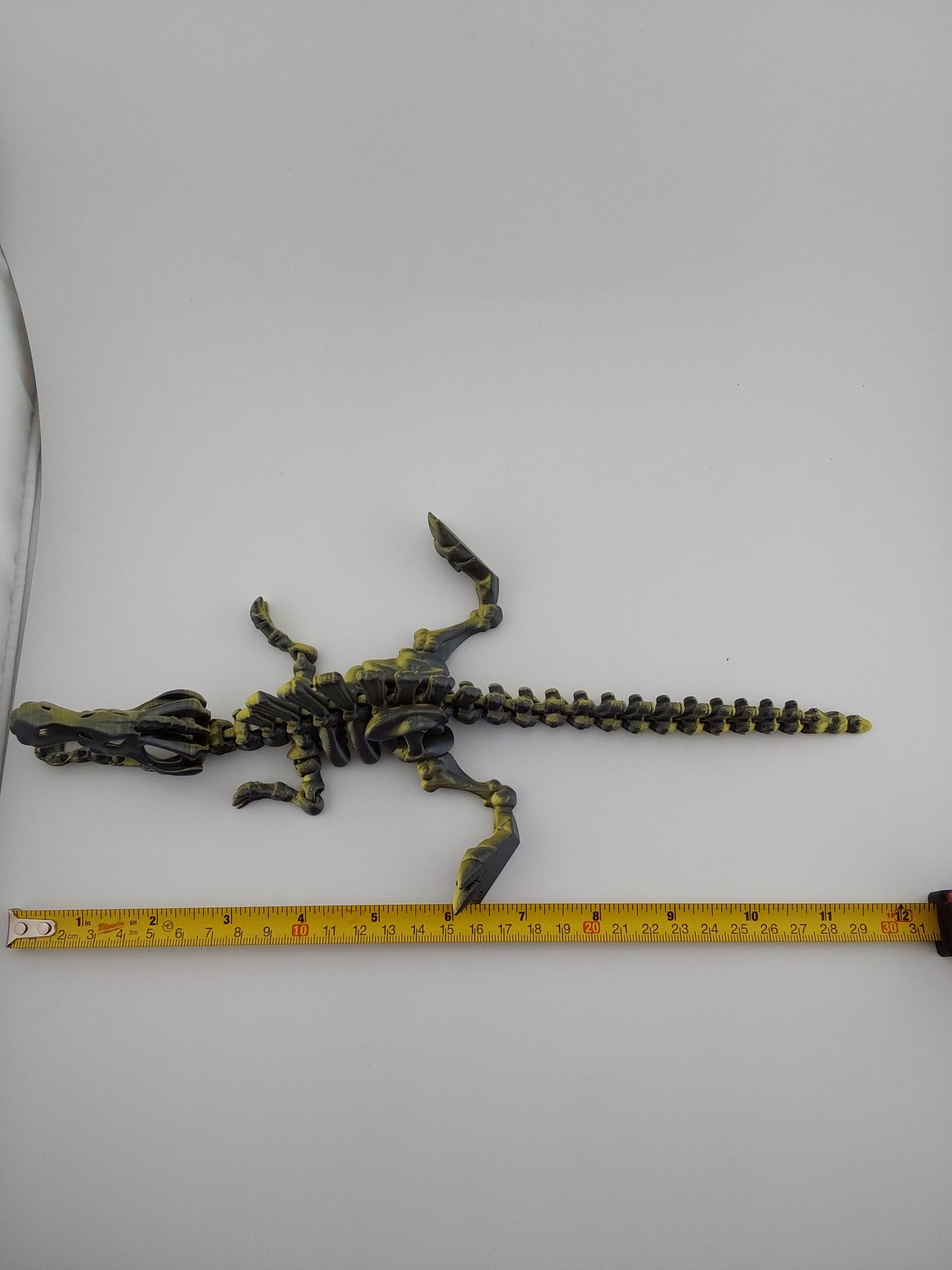 Giant skeleton spinosaurus