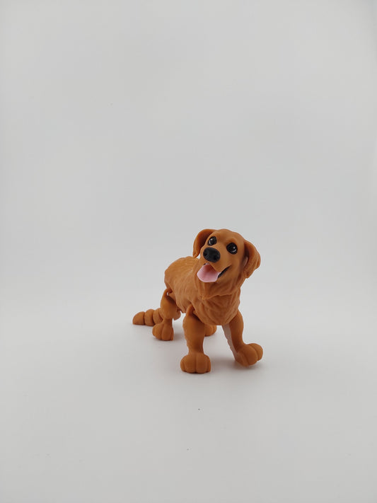 Golden retriever