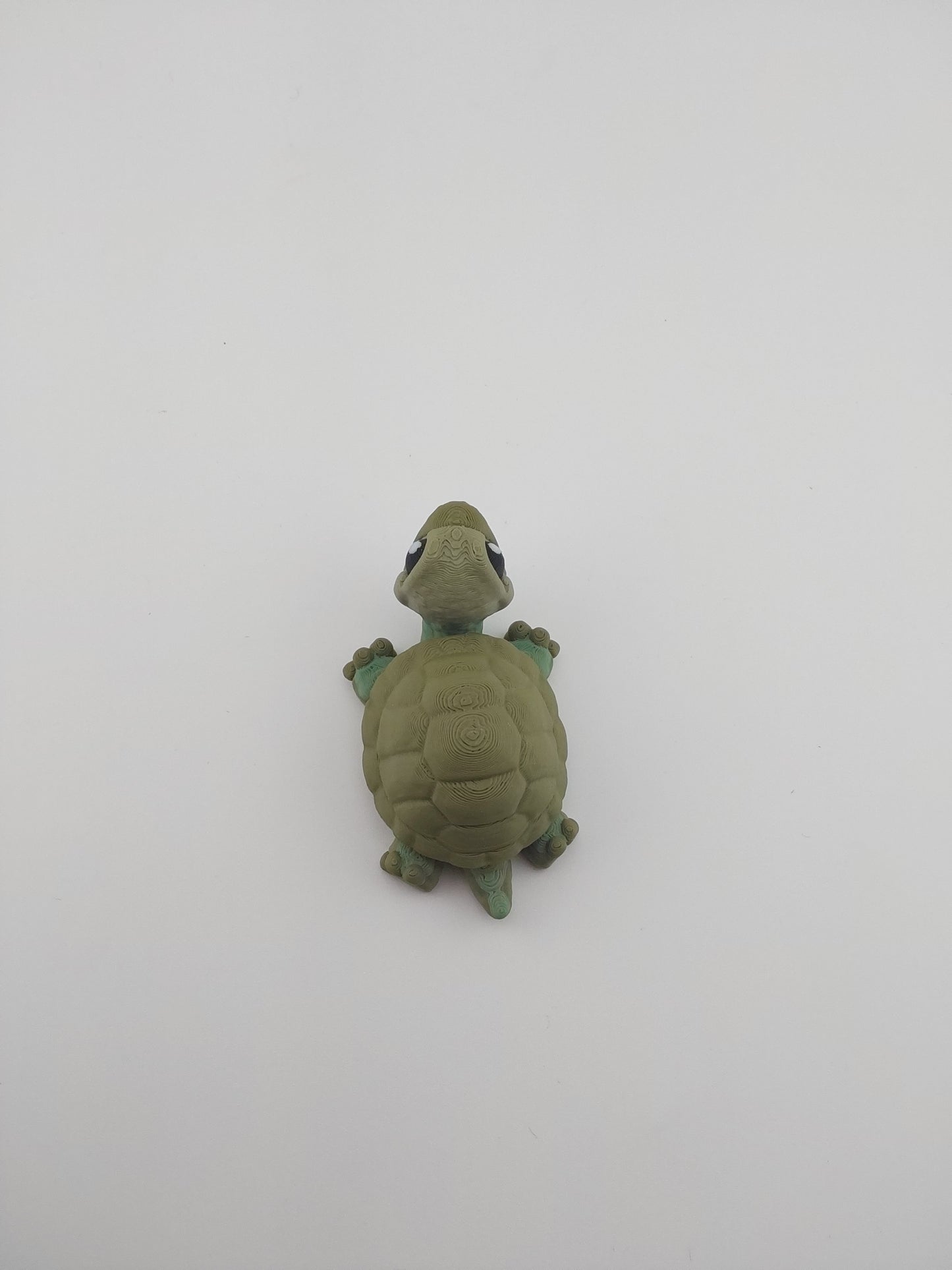 Mini turtle